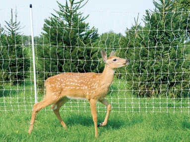 فصل کے فیلڈ وائلڈ لائف ڈیٹرنس کے لئے فائبر گلاس باڑ کی پوسٹس: ہرن باڑ اور وائلڈ لائف رکاوٹوں کے لئے مضبوط تعاون